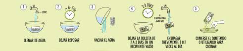 germinados como hacerlos